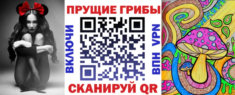Купить где  Карабаш  Галлюциногенные грибы Magic Shrooms 